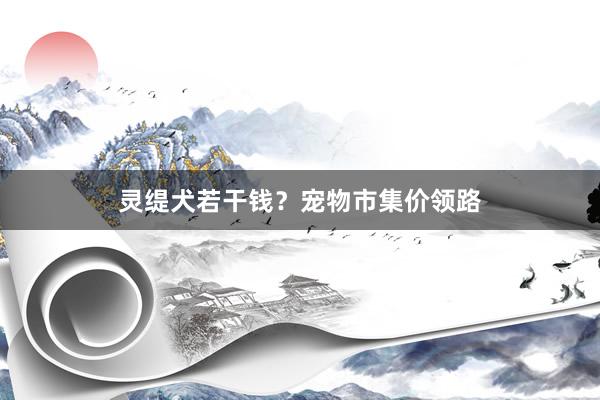 灵缇犬若干钱？宠物市集价领路