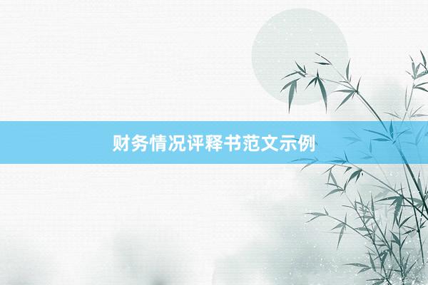 财务情况评释书范文示例